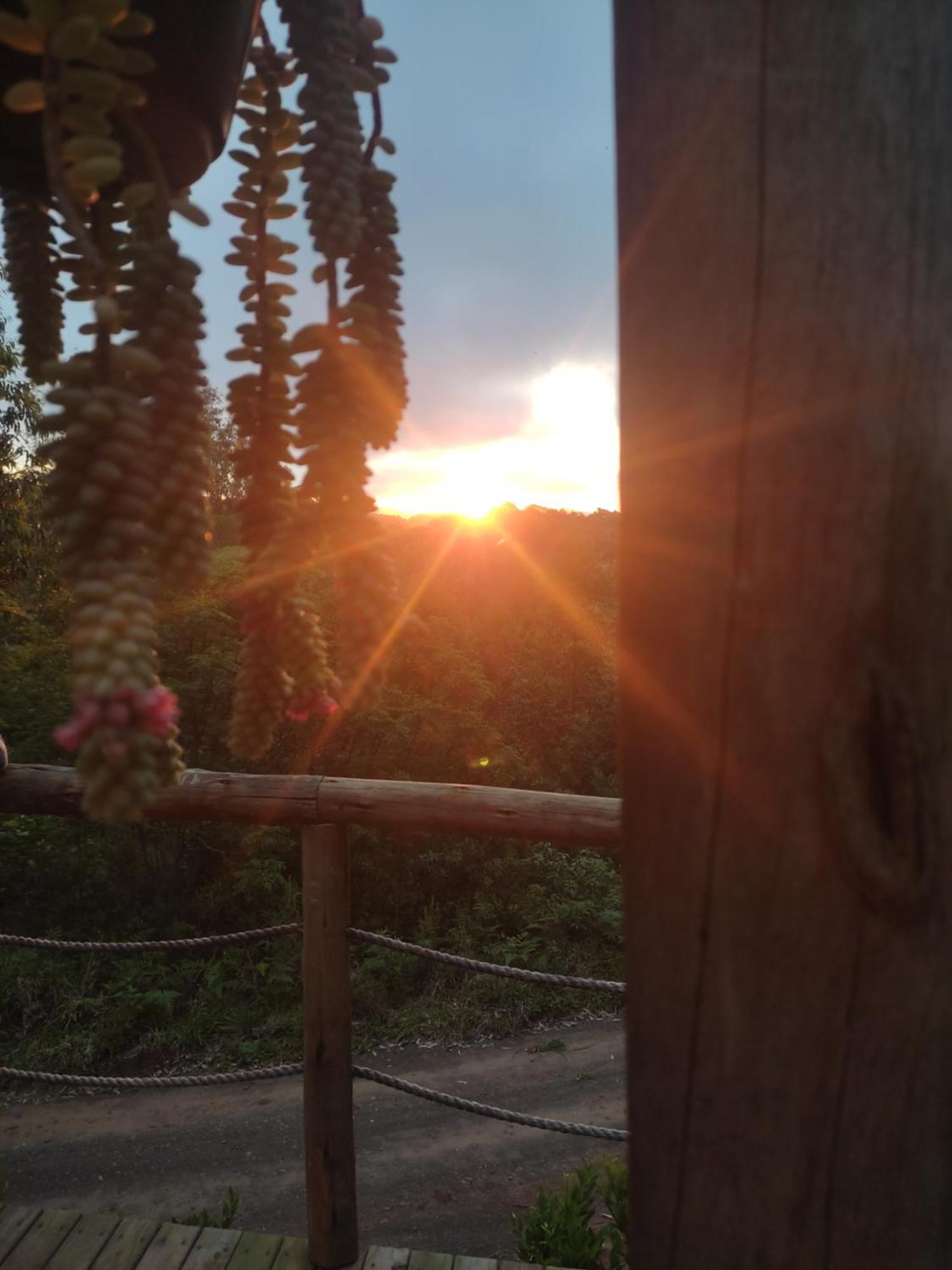Cabana Rustica Logcabin 奥索里乌 外观 照片